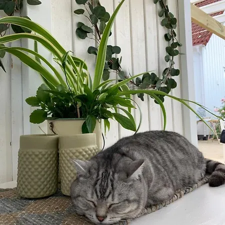 The Gingerbread House Accommodatie bij particulieren